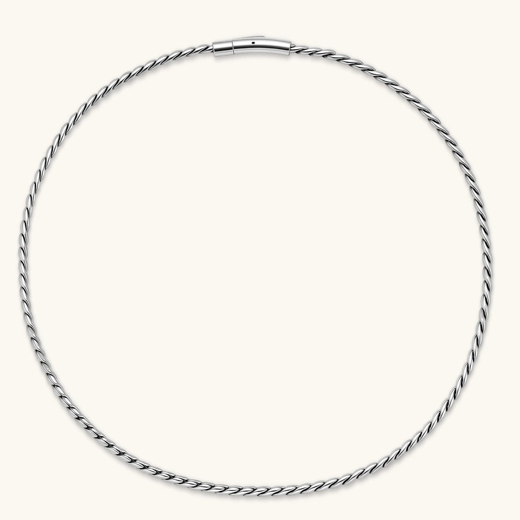 Men's 316L stainless steel twisted rope chain necklace, 560mm length, 3.9mm width, silver tone, screw clasp.